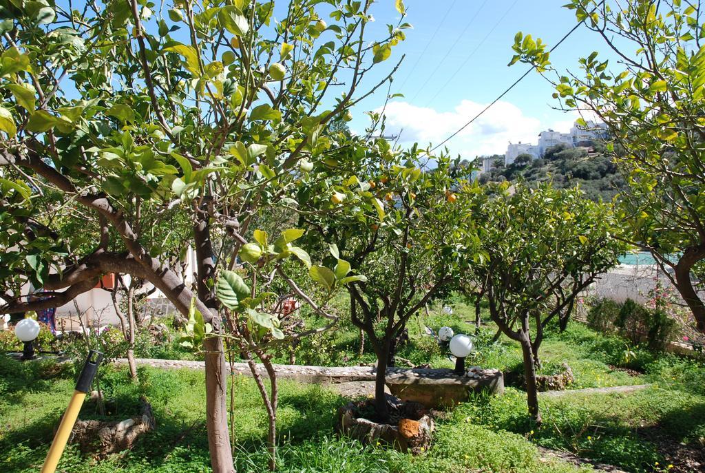 Villa Italiana Amoudara  Kamer foto
