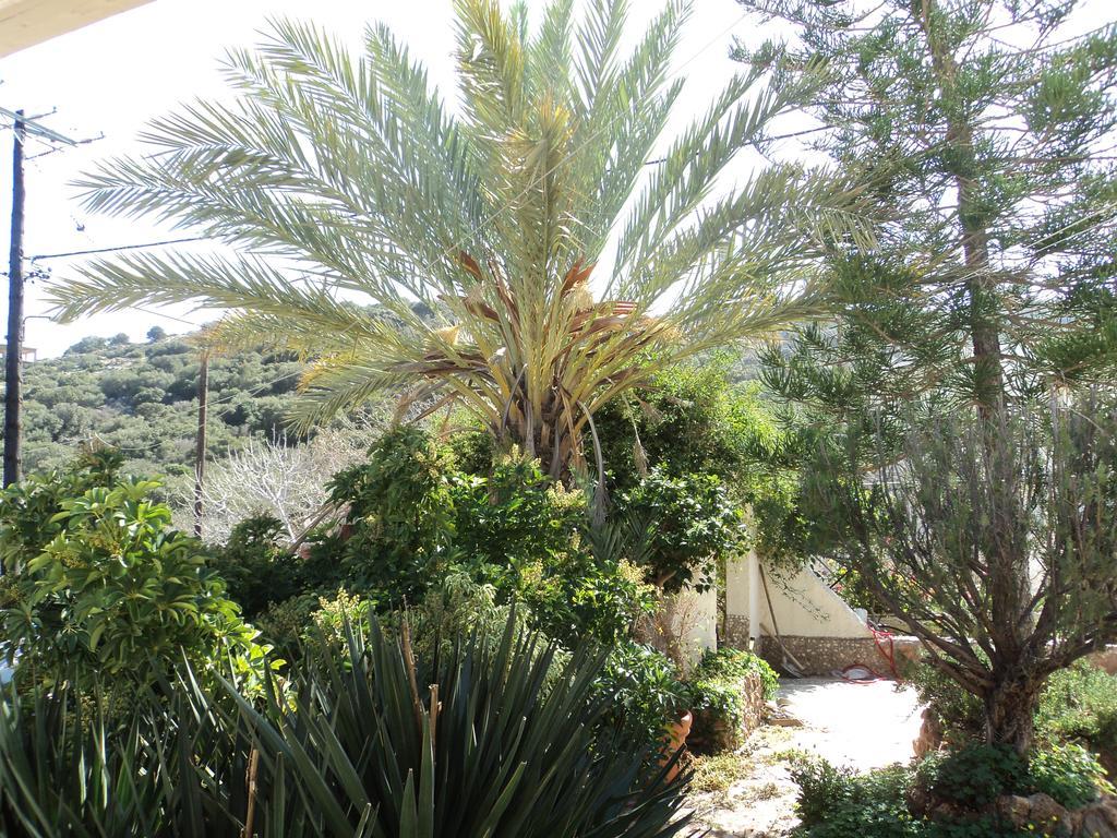 Villa Italiana Amoudara  Kamer foto